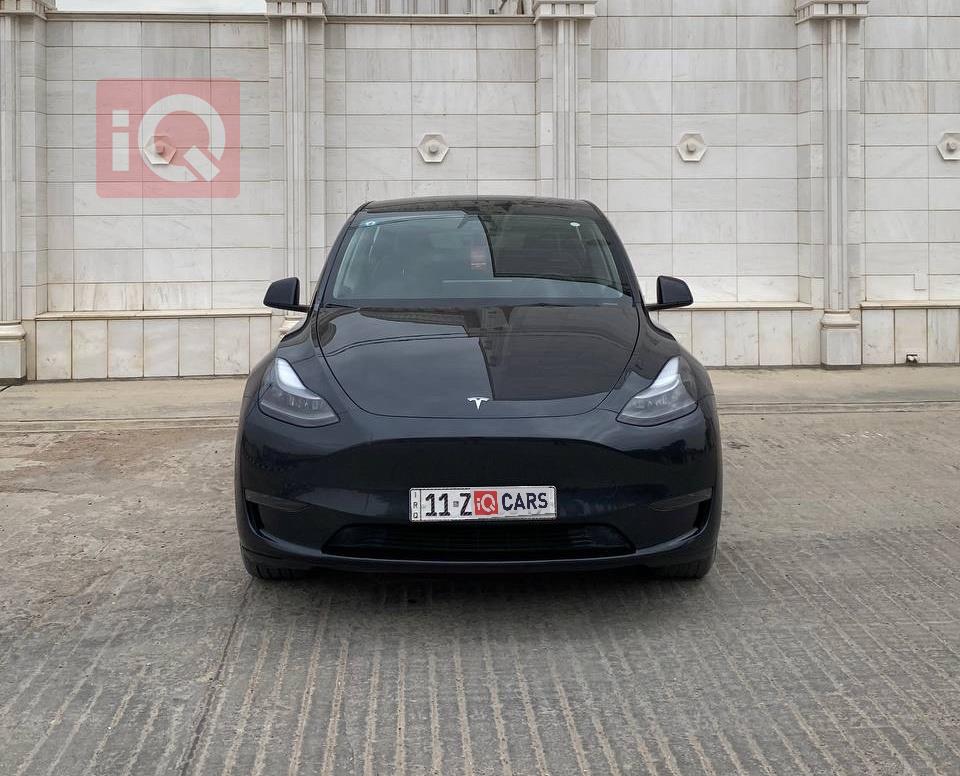 تسلا موديل Y